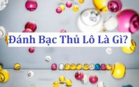 Danh lo bach thu la gi hinh anh 1